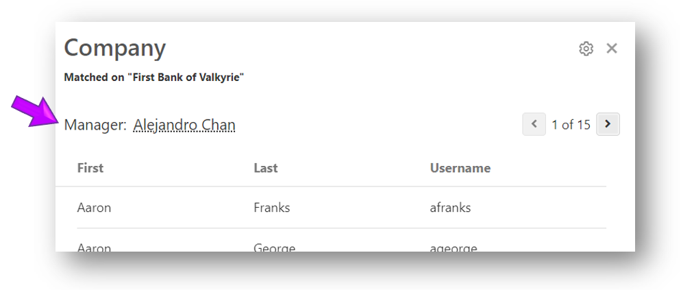 Manager Details panel